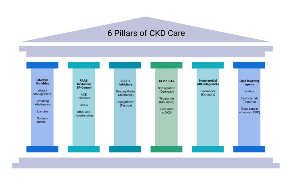 A graphic titled "6 pillars of CKD care." The 6 pillars are labeled 1. Lifestyle Variables, 2. RAAS inhibition/BP Control, 3. SGLT-2 Inhibitors, 4. GLP1-RAs, 5. Nonsteroidal MR antagonists, 6. Lipid Lowering Agents