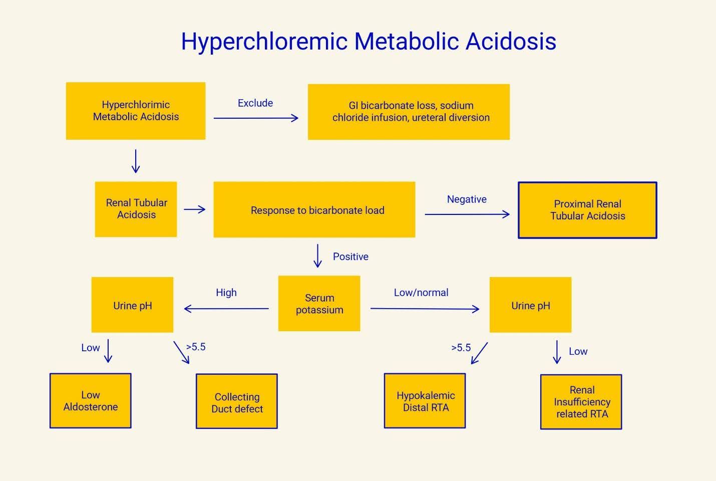 A diagram of Hyperchloremic Metabolic Acidosis