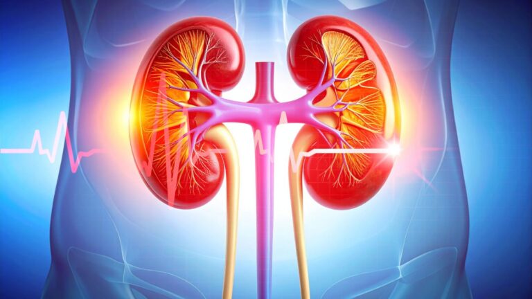 What is Hyperchloremic Metabolic Acidosis? - Northlake Nephrology Institute